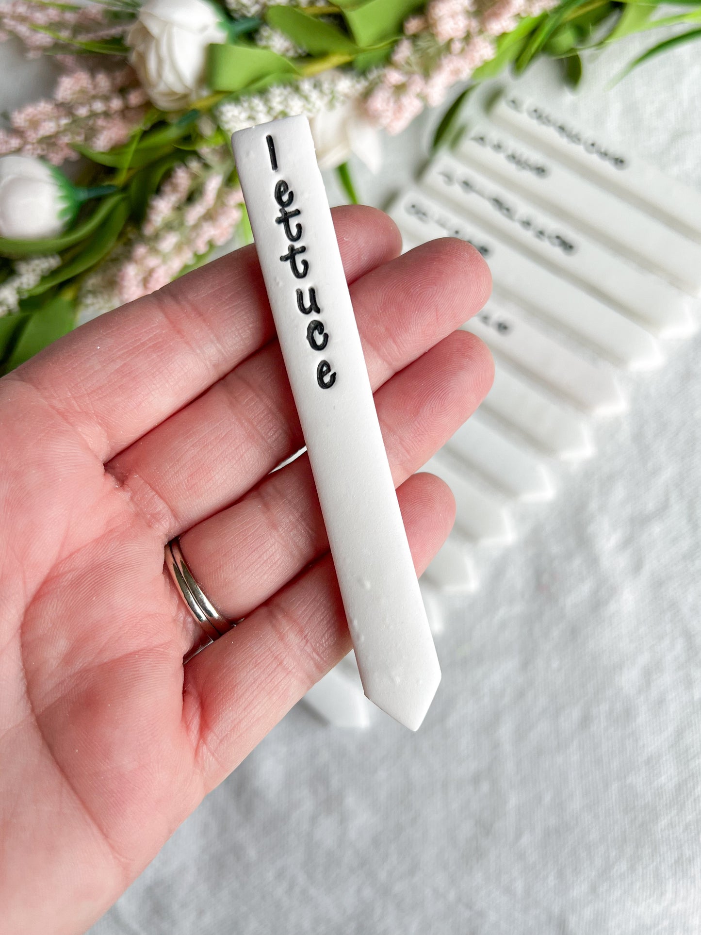 Vegetable Plant Markers