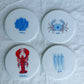 Coastal Sea Life Beverage Coasters | Set of 4 Table Coasters