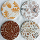 Neutral Fall Floral Botanical Beverage Coasters | Set of 4 Table Coasters